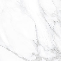  плитка универсальная tiles bianco spider polished 60x60