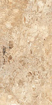  плитка универсальная tiles papier braccia polished 60x120