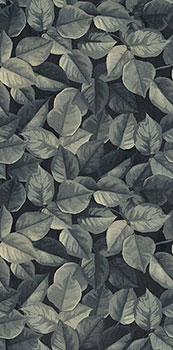 1 wide and style mini foliage 60x120x0.7